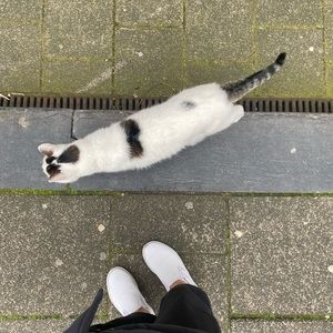 Meet your Posher, Karen